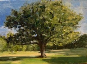 Tree, Wimbledon Common by Mary Bowen