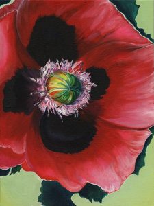 Poppy by Sophie Hinds