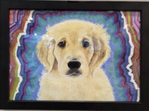 My Pets Drive Me Crazy by Alicia Ulloa