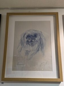 Blue dog study by Marco Angelo Ruffoni