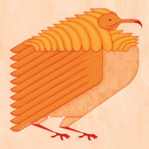 Egyptian Vulture by Anastasia Klimova