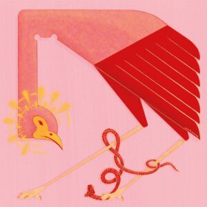 Secretary Bird by Anastasia Klimova