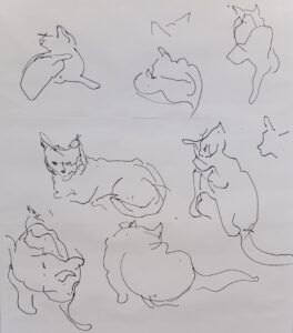 Cats by Yvonne Liggett