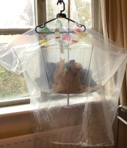 Hat Trick Wrapped Up by Scotty