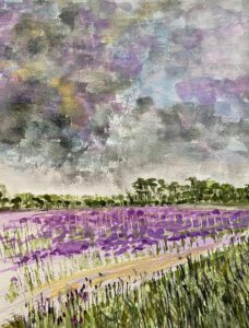 Purple Tansy by Juli Fejer