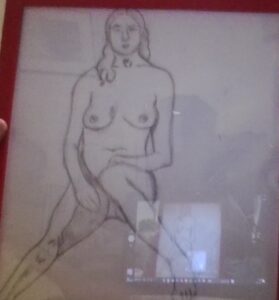 Miss U.S.A. by Carl Butterworth