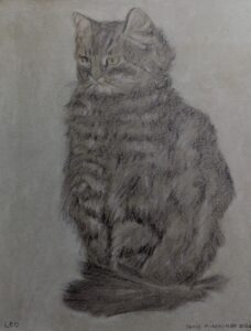 Cat by Denis Purshouse