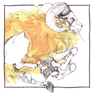 Gold Sheep by Mo Morrell – Morgan